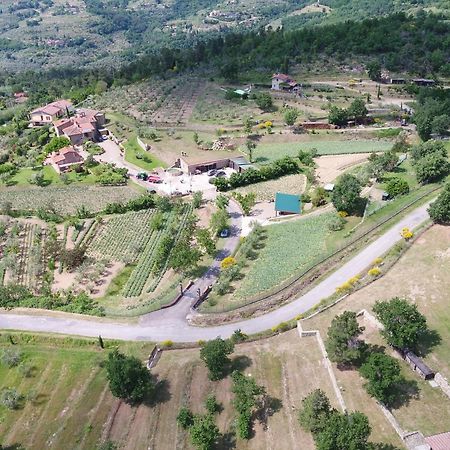 Agriturismo Villa Iris Castelfranco di Sopra Экстерьер фото